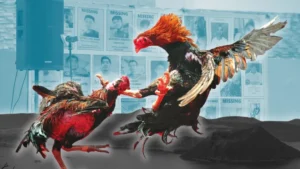 Hướng Dẫn Cách Chơi Đá Gà Sabong Tại E2BET Chi Tiết Nhất 2025 3 Hướng Dẫn Cách Chơi Đá Gà Sabong Tại E2BET Chi Tiết Nhất 2025